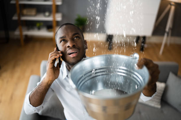Best Water damage cleanup near me  in Johnson, AR