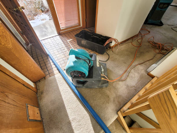 Best Professional water damage repair  in Johnson, AR