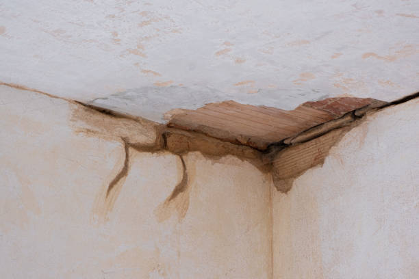 Best Flooded house restoration  in Johnson, AR
