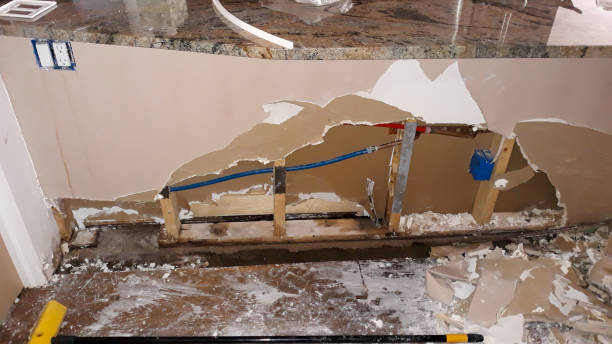 Best Fire Damage Restoration  in Johnson, AR
