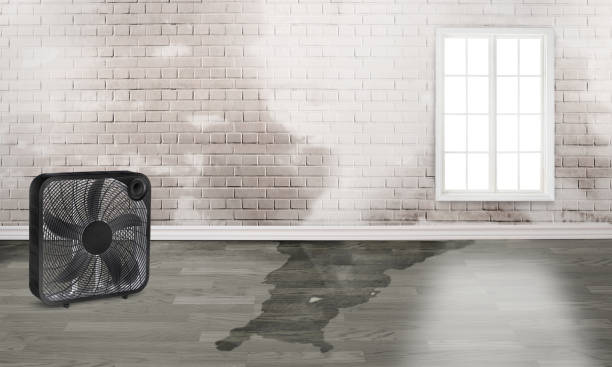Best 24-hour water damage restoration  in Johnson, AR