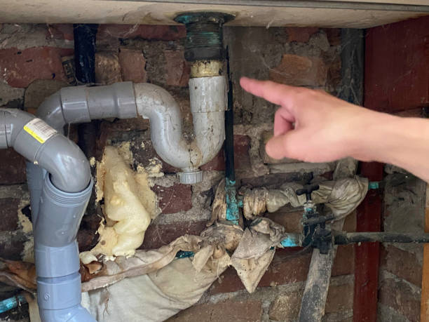 Best 24-hour water damage restoration  in Johnson, AR