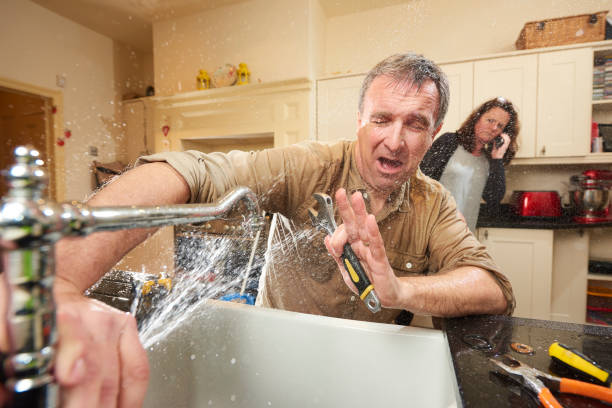 Best Basement water damage restoration  in Johnson, AR